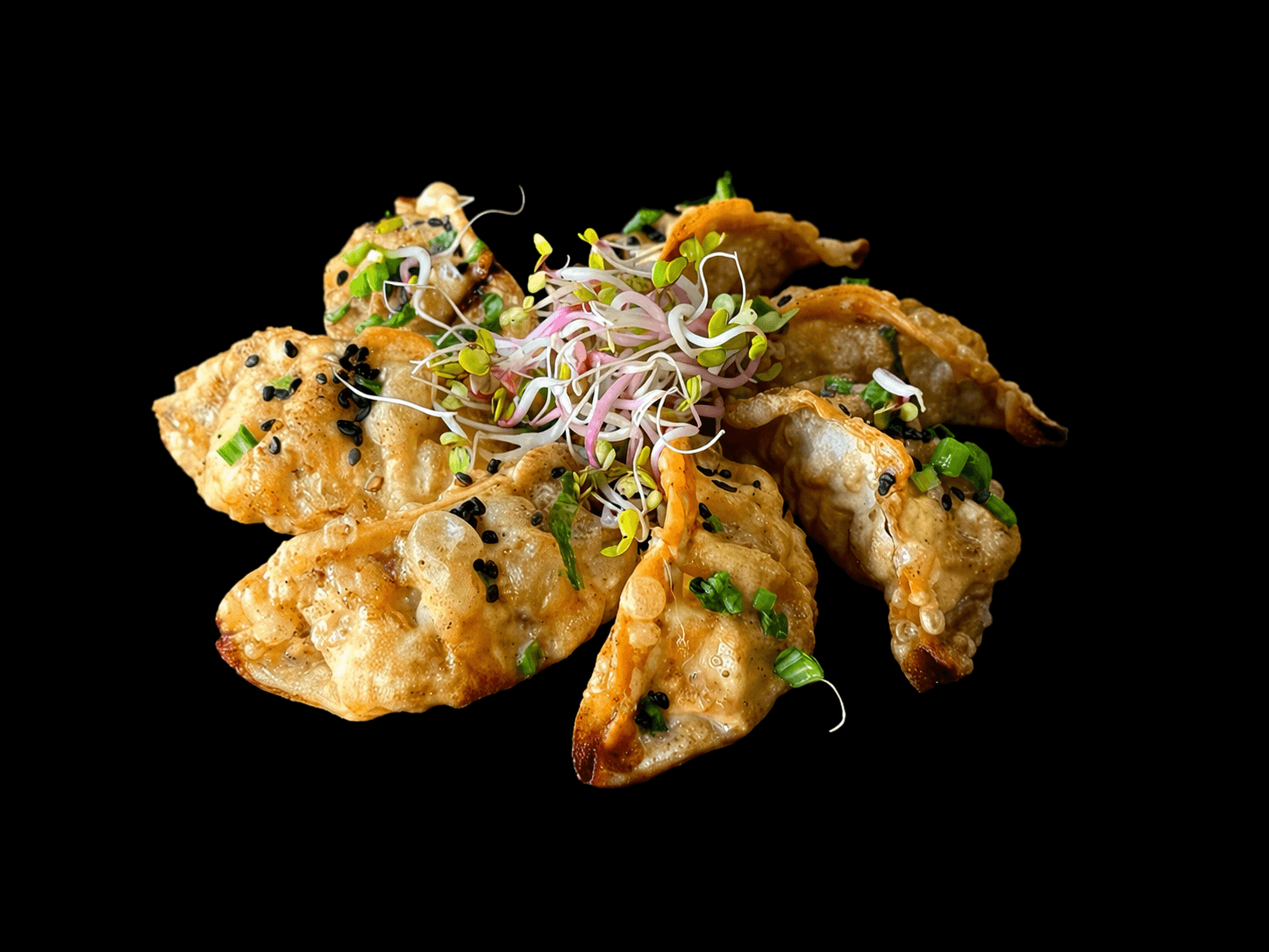 Gyoza — wieprzowina