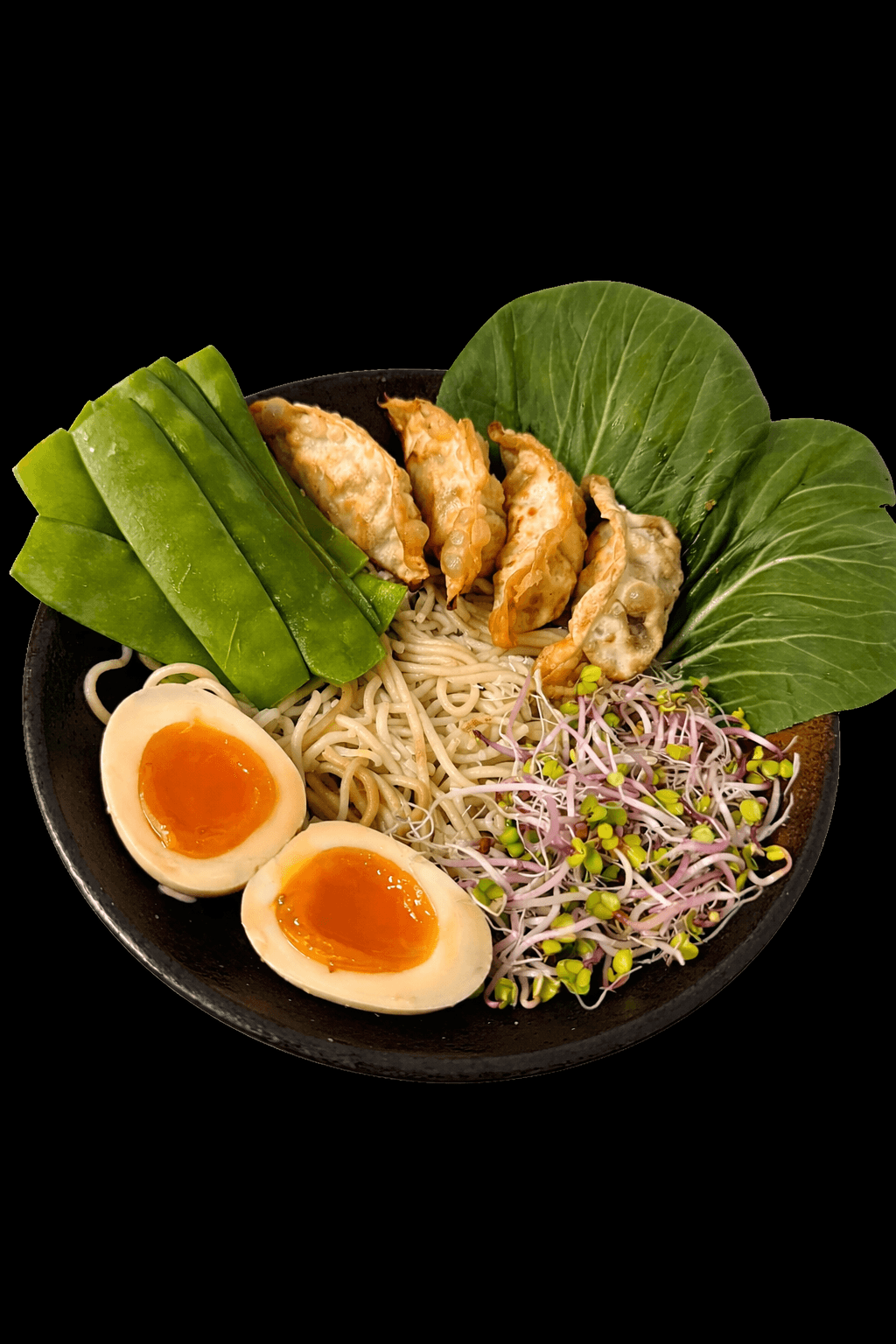 Shio